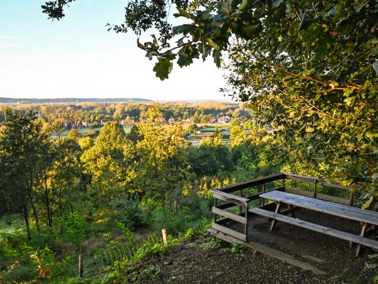 Wijngaardberg picknickbank