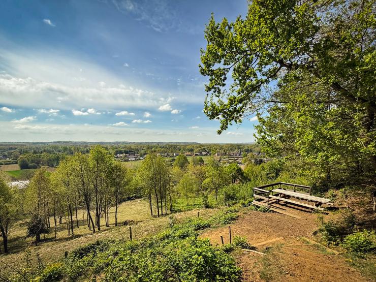De Wijngaardberg in Wezemaal.